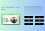 do full stack website development, full stack web developer
